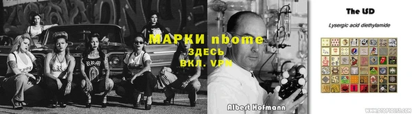 PSILOCYBIN Белокуриха