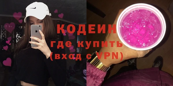 хмурый Нея