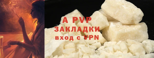 хмурый Нея