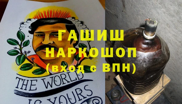 хмурый Нея