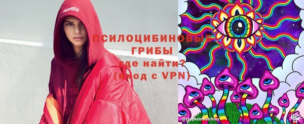 хмурый Нея